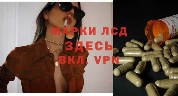 сатива Абаза