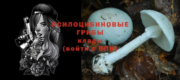 спиды Алексеевка
