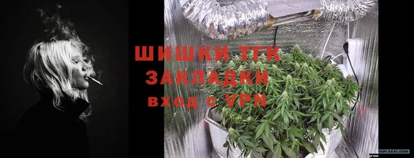 тгк Алексин