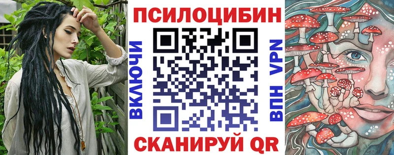 kraken онион  Киржач  Галлюциногенные грибы Cubensis 